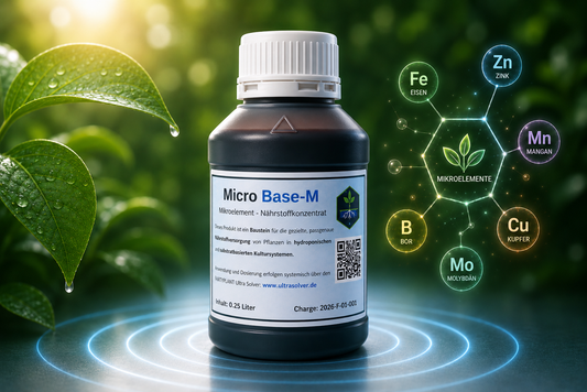 Micro Base-M